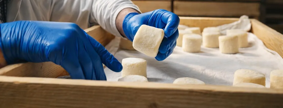 Cheese factory tour and gourmet tasting on Lake Como Mountains