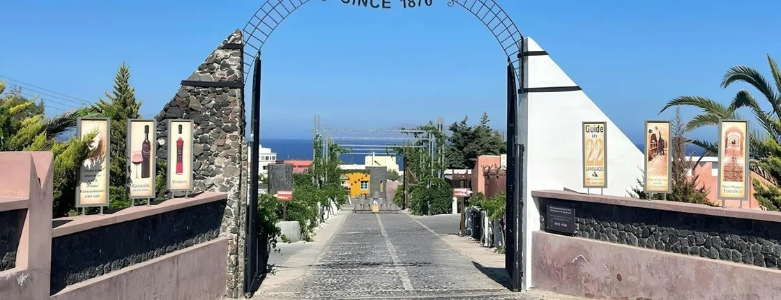 Santorini half-day family tour with wine museum visit