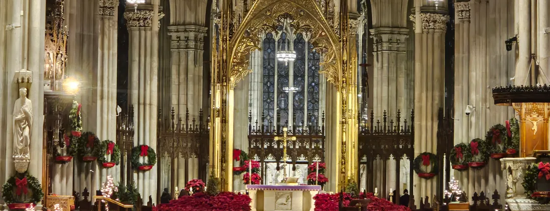 St Patrick's Cathedral Official Holiday Tour