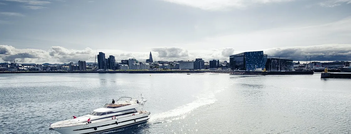 Whale watching luxury yacht cruise in Reykjavik