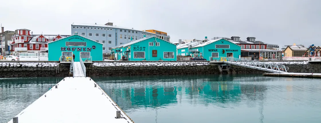 Musement Reykjavik city tour with FlyOver Iceland experience
