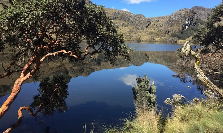 Cajas Unveiled: A Half-Day Escape from Cuenca