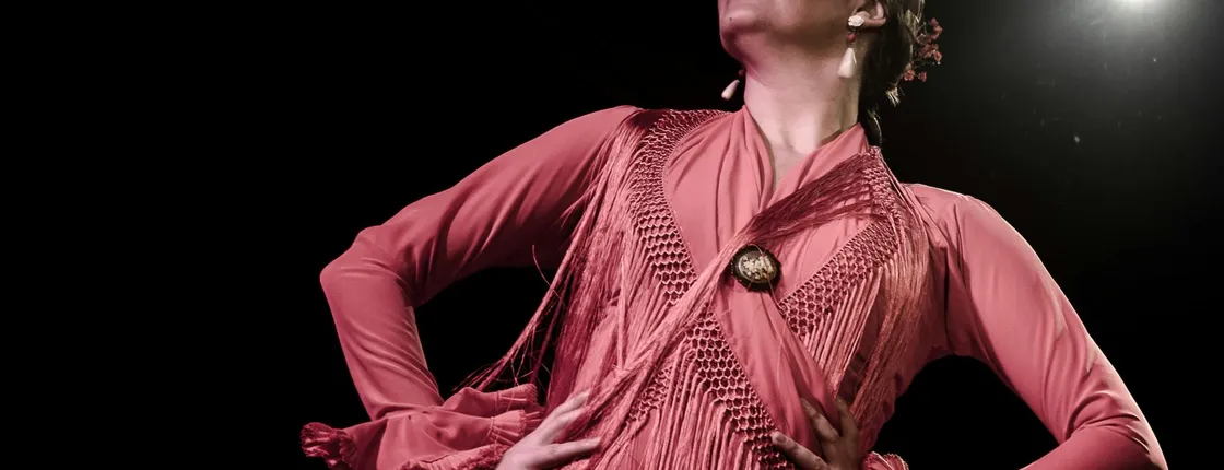 Flamenco Show at Tablao Flamenco Café Ziryab in Madrid