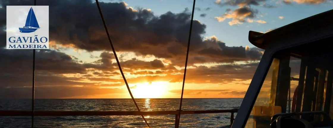 Sunset Sailing Tour from Funchal