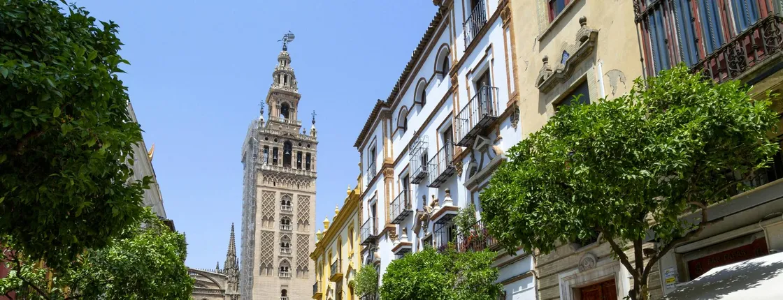Guided Seville sightseeing with rooftop bar visit