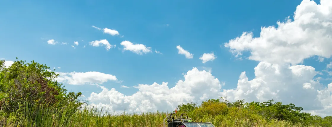 Everglades admission ticket with airboat ride and wildlife show