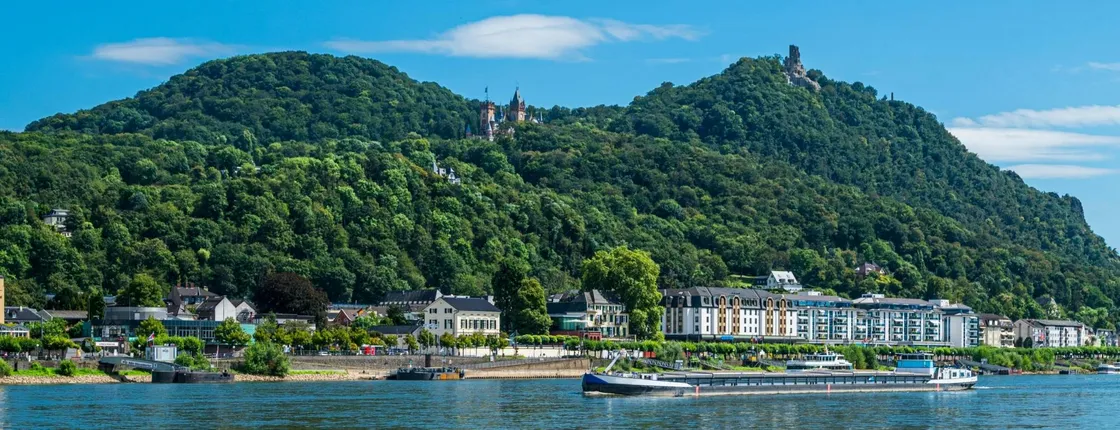 Cruise from Bonn Harbour to Königswinter with German live guide
