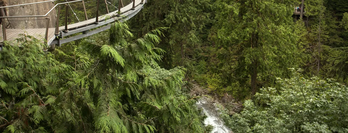 Vancouver City and Capilano Suspension Bridge tour with lunch