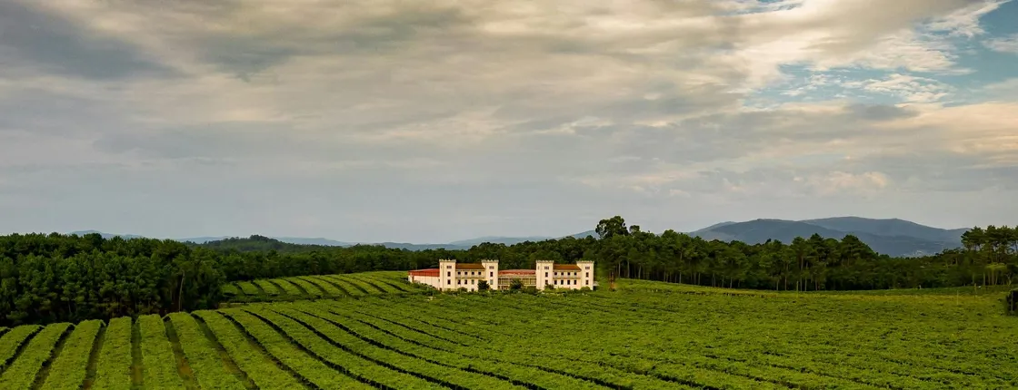 La Val winery guided tour with wine tasting
