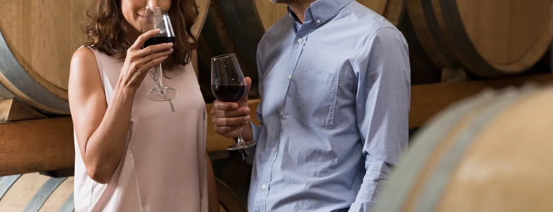 Half-day wine country experience from San Francisco