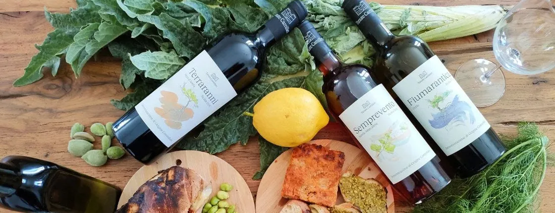 Traditional Sicilian flavours and vineyard visit in Agrigento