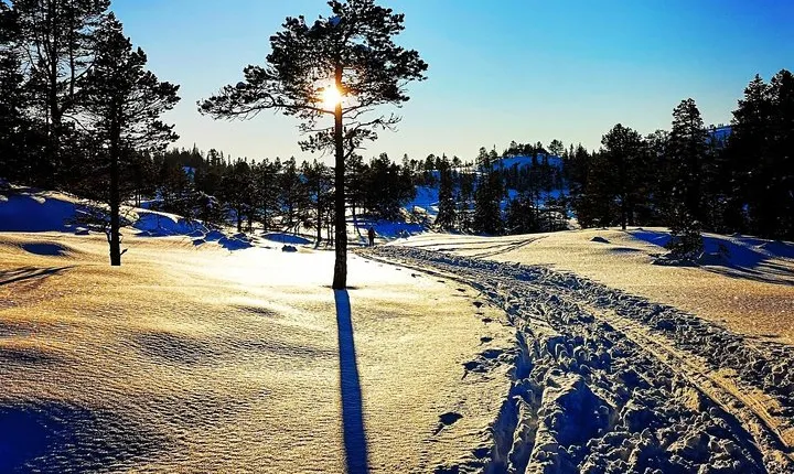 Skiing in winter wonderland
