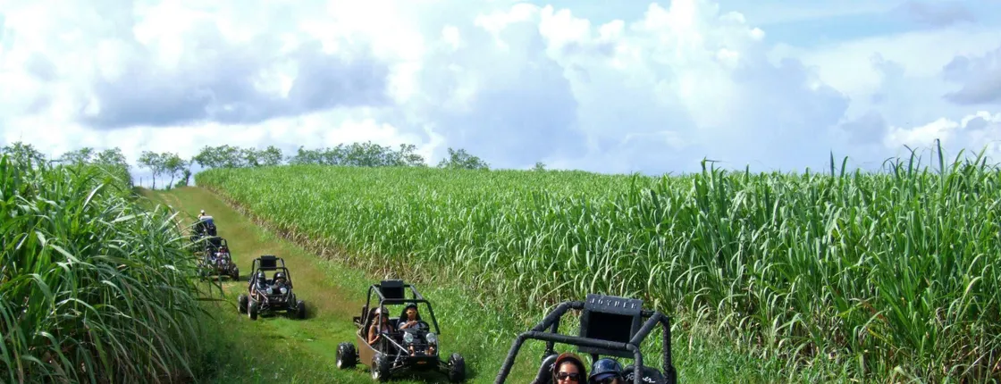 Crazy Wheels Quad & Buggy Ride