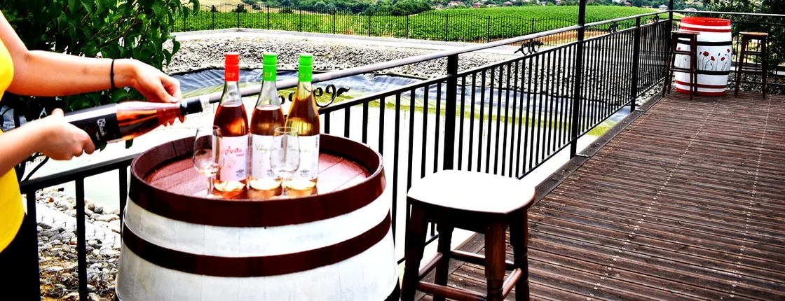 Rupel Winery - Wine Tastings, Tours & Activities