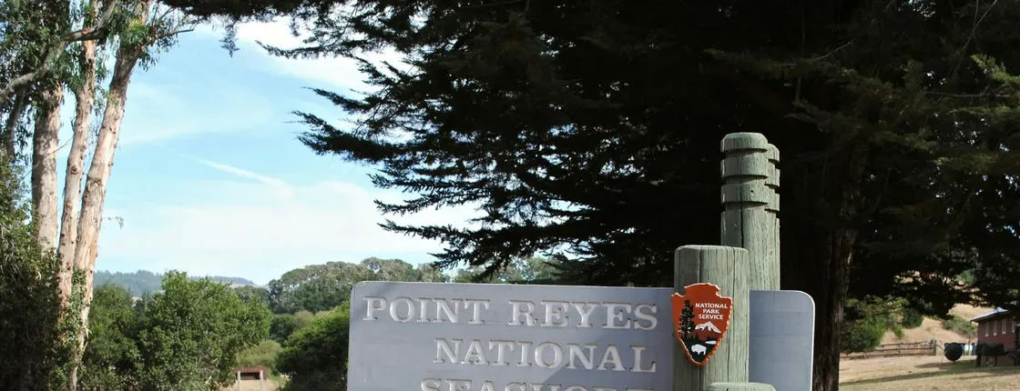 Self-Guided Driving Tour of Point Reyes National Seashore