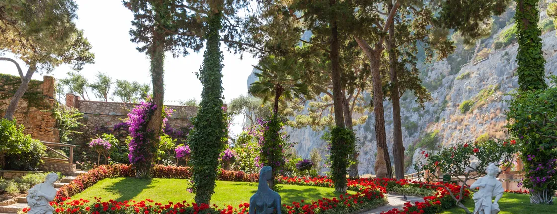 Capri and Anacapri guided tour with optional cruise