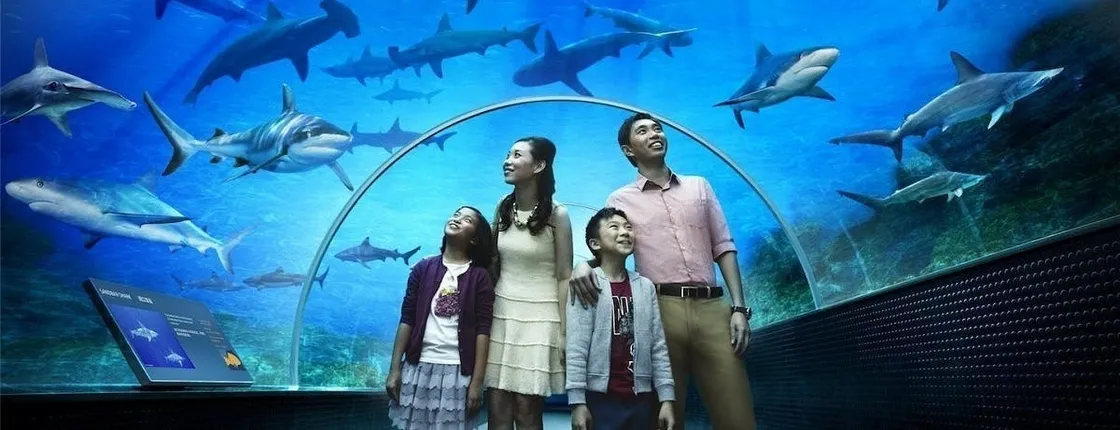 Underwater World Langkawi Entrance Ticket