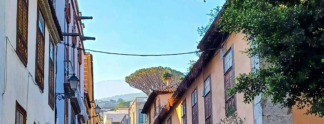 Sites & Bites: Northern Tenerife's villages and flavours