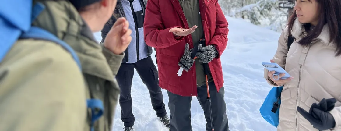 Winter wonderland hike