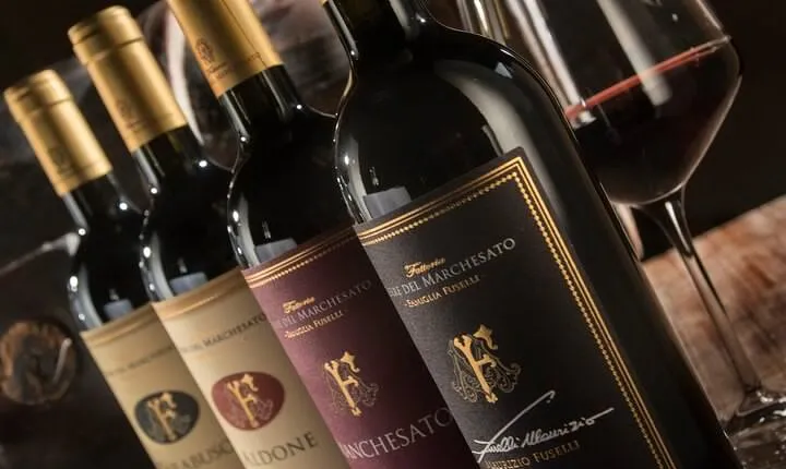 Bolgheri: Premium Wine Tasting with Winery Tour