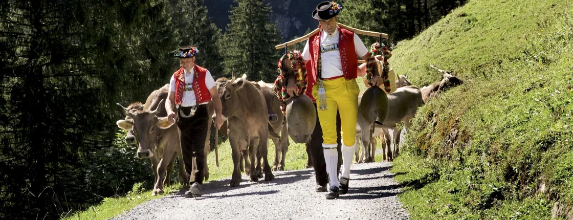 Appenzell mountain excursion with farm visit and cheese tasting