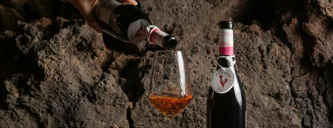 Adults wine-tasting tour of Conatvs Winery in Fuerteventura