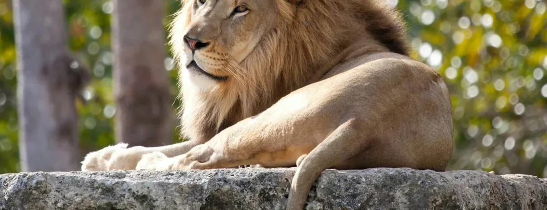 Pafos Zoo Visit & Blue Lagoon Cruise with Local Guide