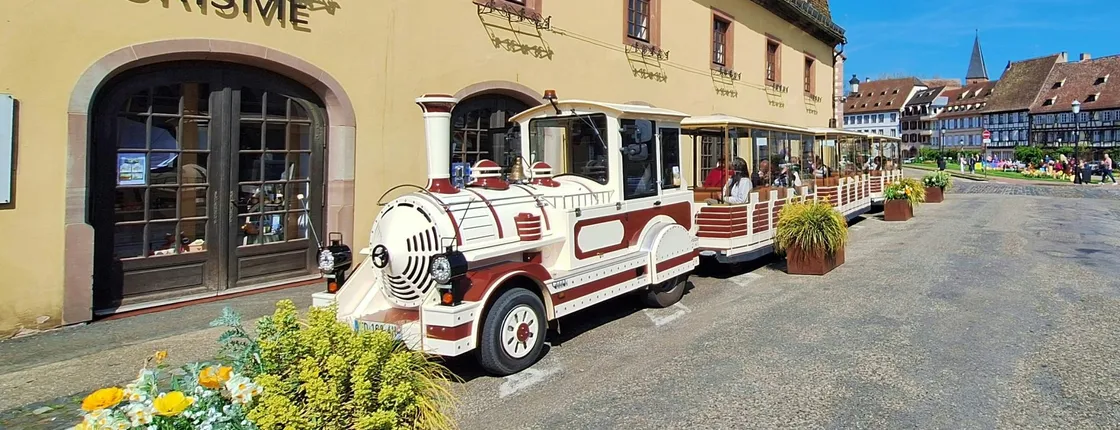 Palatinate wine route tour with wine tasting and Wissembourg