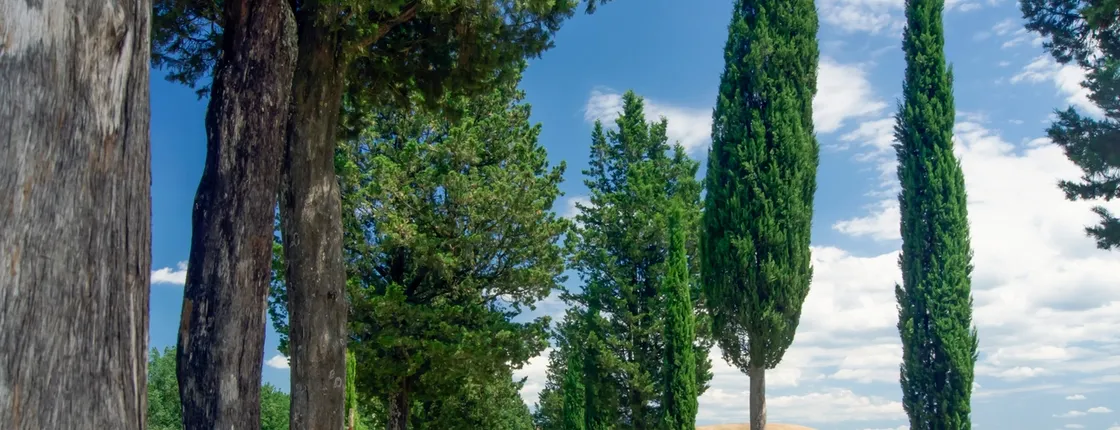 Tuscany Tour from Florence: Small Group Villages, Wine & Cooking Lunch