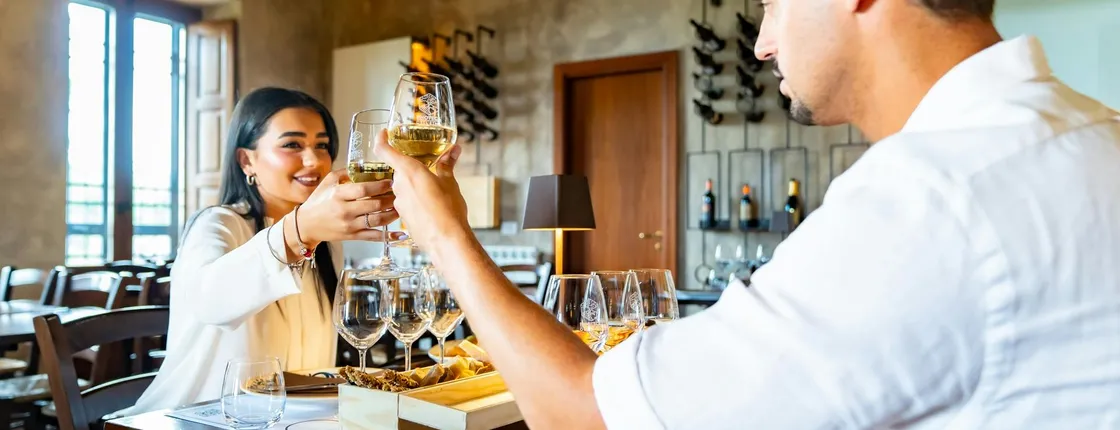 Mount Etna guided tour with wine tasting from Catania