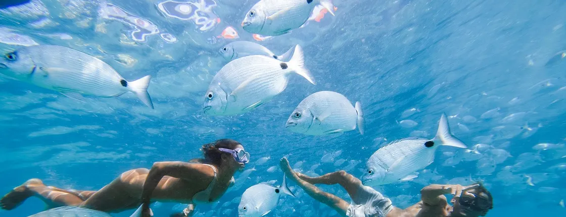 Lobos island ferry and snorkeling experience from Corralejo