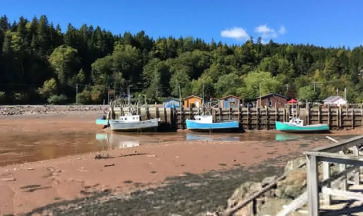 Shore Tours