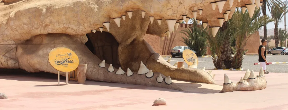 Crocoparc Visit from Agadir or Taghazout with Entrance Fees