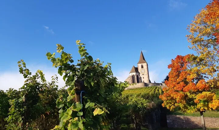 ICONICS Tour: 1/2 day on the Wine Route, visit of 2 Villages + Tasting.
