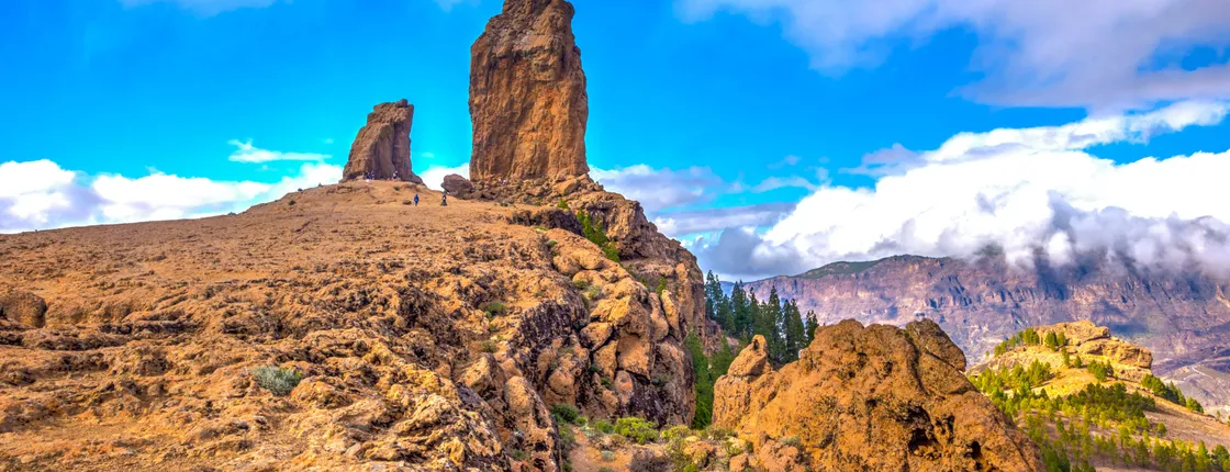 From Las Palmas: Guided tour of the Bandama Caldera and Roque Nublo