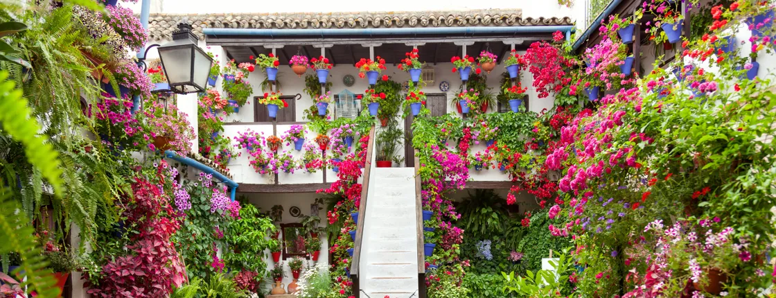 Tickets and guided tour of the authentic patios of Córdoba