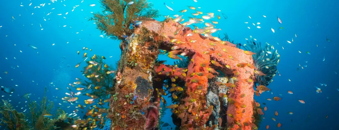 PADI Discover Scuba Diving course at Padang Bai