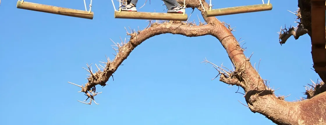 Accrobaobab adventure from Sarene