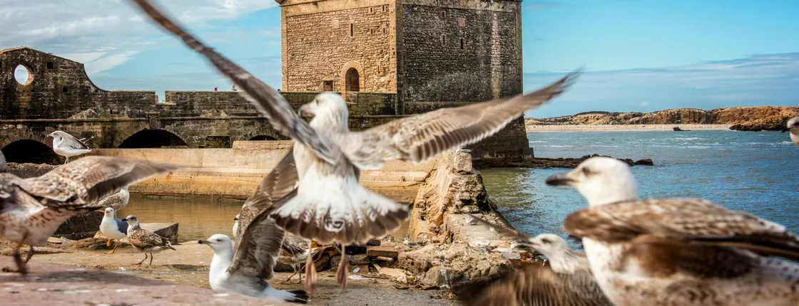 Essaouira UNESCO Heritage Site