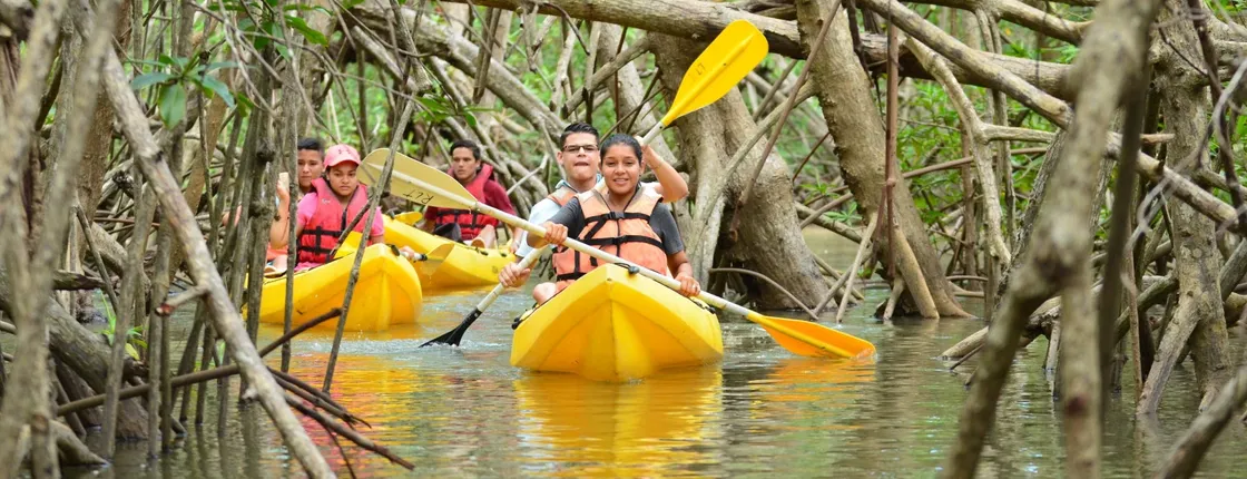 Damas Island Kayak Tour