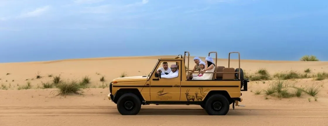 Evening desert safari in Al Marmoom with BBQ dinner from Dubai
