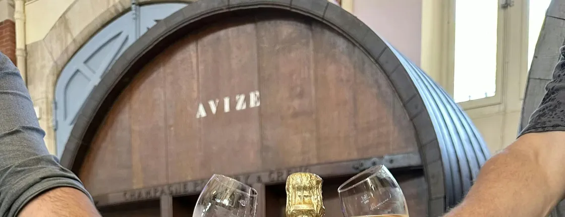 Full-Day Tour and Tasting at Two Family Estates Including Lunch