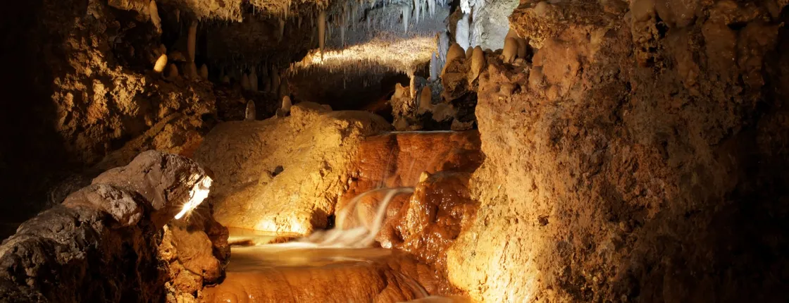 Harrison's Cave, Nature Walk & Mount Gay Rum Experience