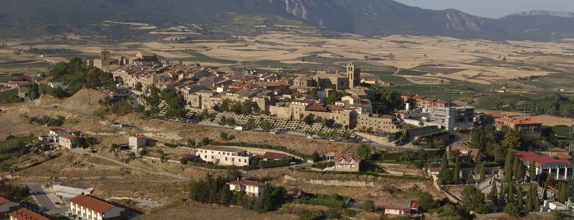Vitoria and Rioja wine region with winery visit full-day tour from Bilbao