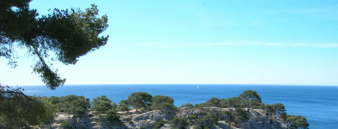 Cassis and Luberon Tour from Aix-en-Provence