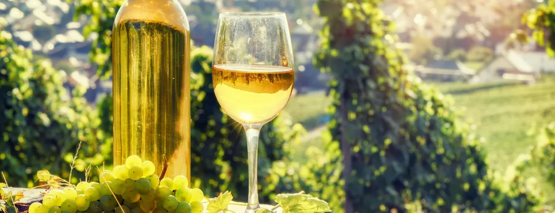 Romanian Wine Tasting Experience from Bucharest