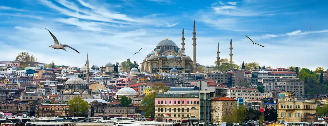 Food tasting with a local family in Istanbul