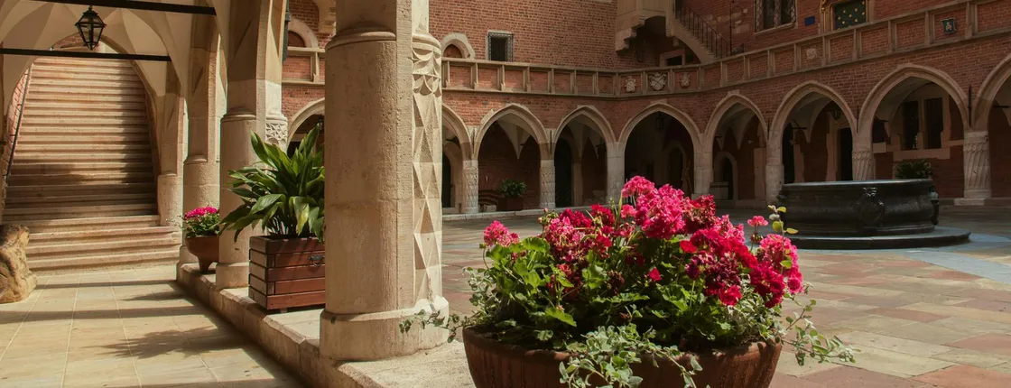 Private walking tour through Kraków's University District