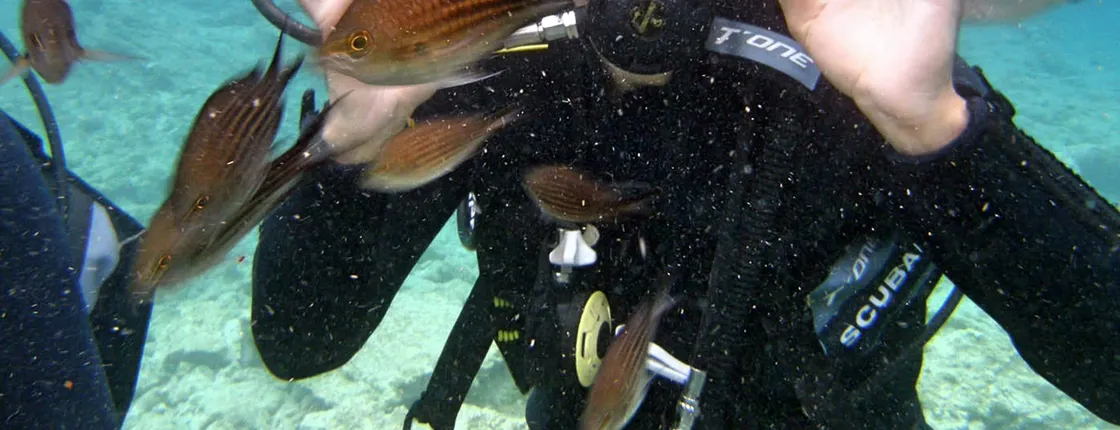 Side scuba diving for beginners