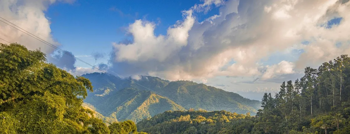 Half-Day Blue Mountain Sightseeing Private Hiking Tour